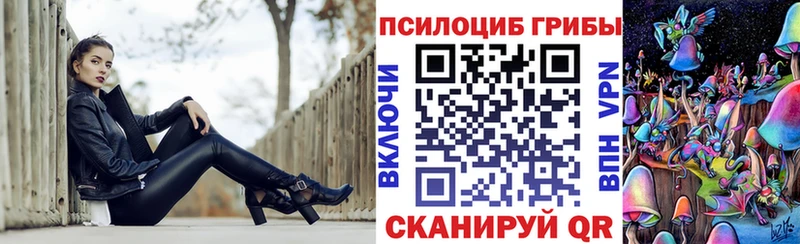 Псилоцибиновые грибы Cubensis  хочу   Верхняя Тура 